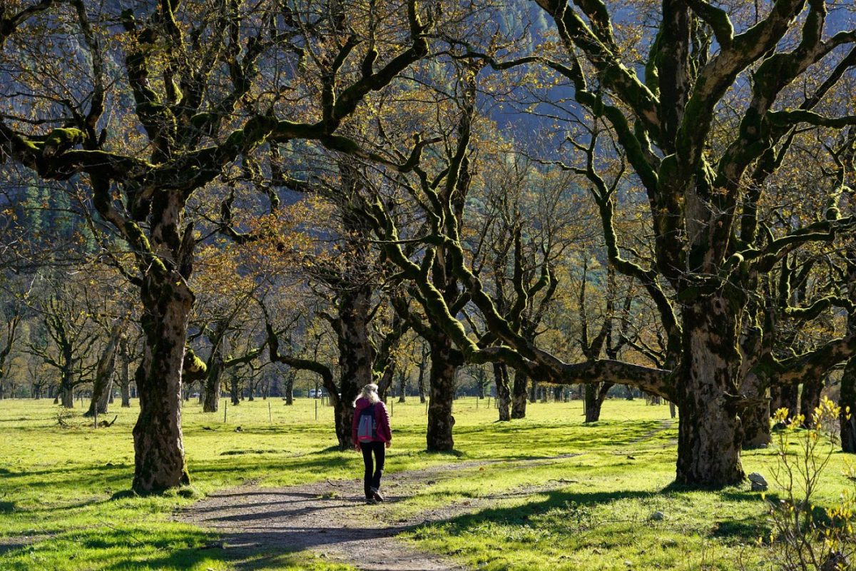 Activités nature à faire en 48 heures autour de soi