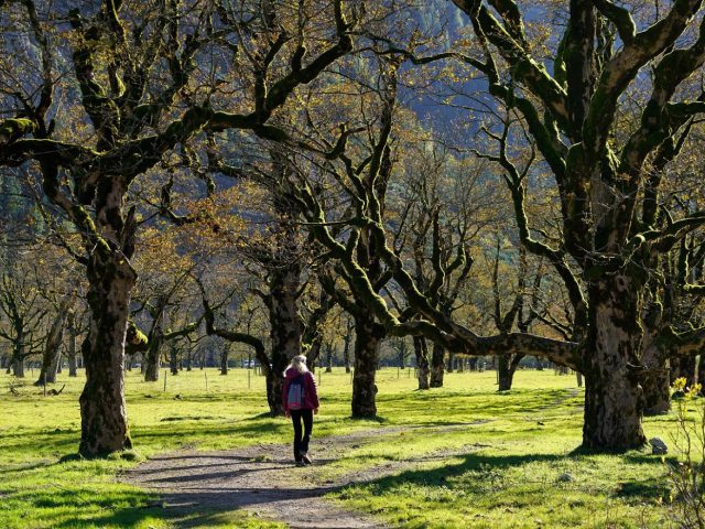 Activités nature à faire en 48 heures autour de soi