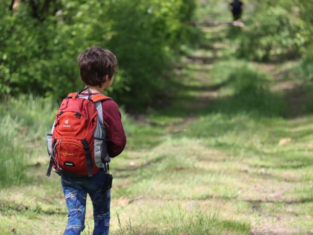 Avis sur les sacs à dos Quechua : bon rapport qualité/prix