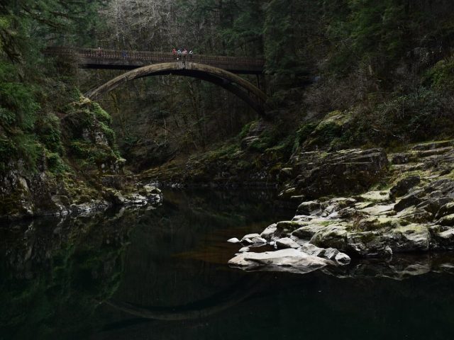 Petites balades autour des lacs près de chez moi